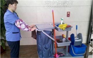 清洗保潔服務公司 湖北清洗保潔服務 武漢龍勝物業(yè)價格